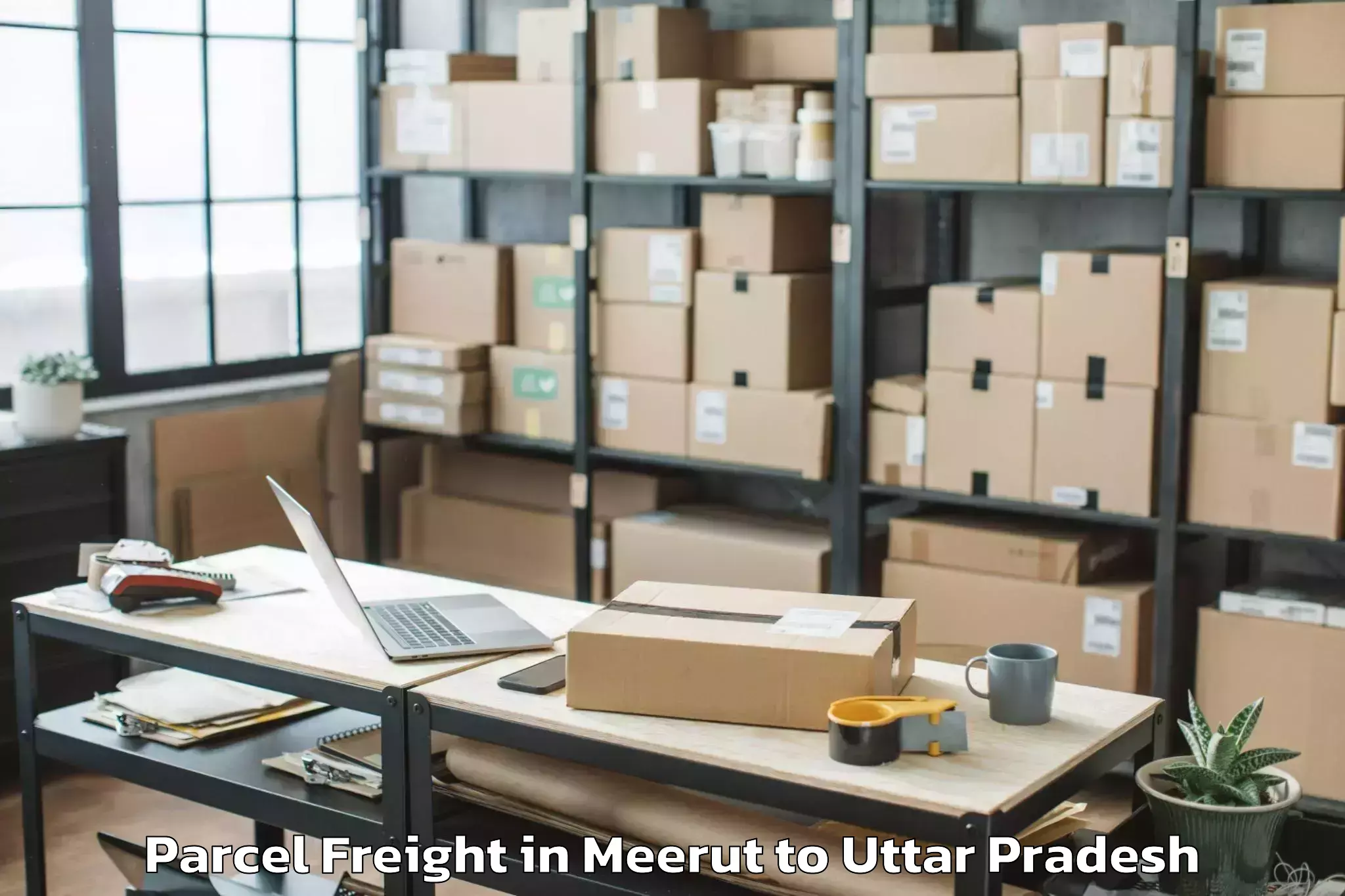 Easy Meerut to Bisauli Parcel Freight Booking